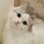 Violet_Lambert - @violet_lambert61 - Instagram