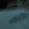 Violet Lambert  - @321.fun - TikTok