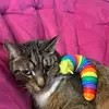 Violet Lambert - @violet.lambert - TikTok
