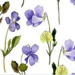 Violet Lane Design - @violetlanedesign - Instagram