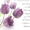 Violeta Marquez - @violetmarquez6 - TikTok
