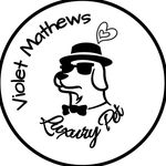 Violet Mathews - @luxurypet_byviolet - Instagram