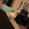 Violet - @violet_moore_ - TikTok