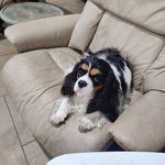 Violet Auber Morton - @vrm7mba - Instagram