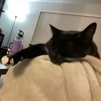 Violet Morton - Facebook