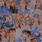 Vio - @violet_northgate - Instagram