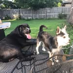 Violet North - @violetlynn2000 - Instagram
