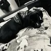 Violet - @violetsnorth - TikTok