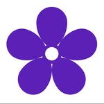 Violetnorth - @violetnorthinc - Instagram