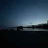 Violet - @violet.oneill - TikTok