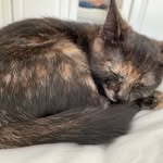 Violet Orchard - @violetsadventures2022 - Instagram