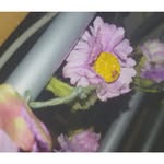 Violet💜 - @_violet_page_ - Instagram