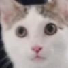 user2501288212283 - @violetparish8 - TikTok