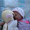 💕Violet Parker💕 - @violet.parker.reborn - TikTok