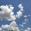 Violet Patton - @violetpatton7 - TikTok