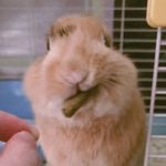 @violet.perkins.8417600 - Instagram