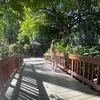violet - @violet.perryy - TikTok