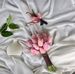 Violet Pham - Facebook