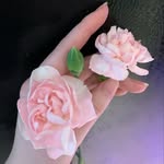 Grace H - @violet_plum_blossom - Instagram