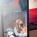 Violet Provis-Rainey - Facebook