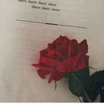 Violet Autfar Ramsey - @violetramsey - Instagram
