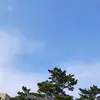 ViolettaTrapp - @mariaosy2f3 - TikTok