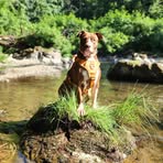 Violet Richey - Facebook