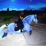 violet - @violet.rose.rider - Instagram