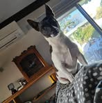 Violet Rigby - Facebook