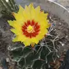 Violet Rivers - @violet.rivers - TikTok