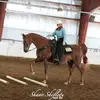 Violet Roberts - @vjrhorsemanship - TikTok