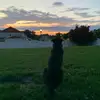 violetroberts46 - @violetroberts46 - TikTok