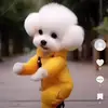 violetrobinson19615 - @violetrobinson19615 - TikTok