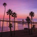 violetrothschild132 - @violetrothschild - Instagram