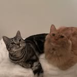 violet & rowan - @vivi.and.roro - Instagram