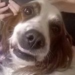Violet rowe - @violetrowe159 - Instagram