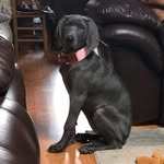 Violet Ruth Rye - @lifewithvioletruth - Instagram