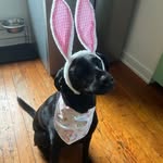 Violet Salisbury - @violetsalisbury6 - Instagram