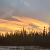 Violet Saunders - @violet.saunders3 - TikTok