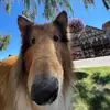 violet <3 - @violetschellenberg - TikTok