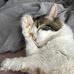 Violet Schellenberg - Facebook