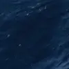 violet - @_violetschwartz - TikTok