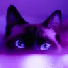 violet_scott - @violet_scott - TikTok
