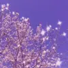violetsharpe - @violetsharpe - TikTok