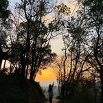 最好便是现在 - @violet_simon - Instagram