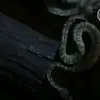 Violet&Simon - @violetandsiman - TikTok