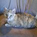 Violet Simpson - Facebook
