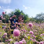 Violet Sky - Facebook