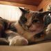 Violet Sprague - Facebook