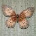 Violet Sprague - Facebook